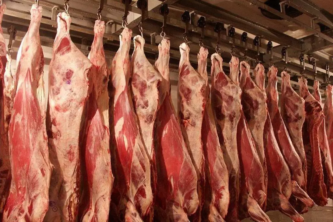 Казахстан произвел свыше 1 млн тонн мяса за год