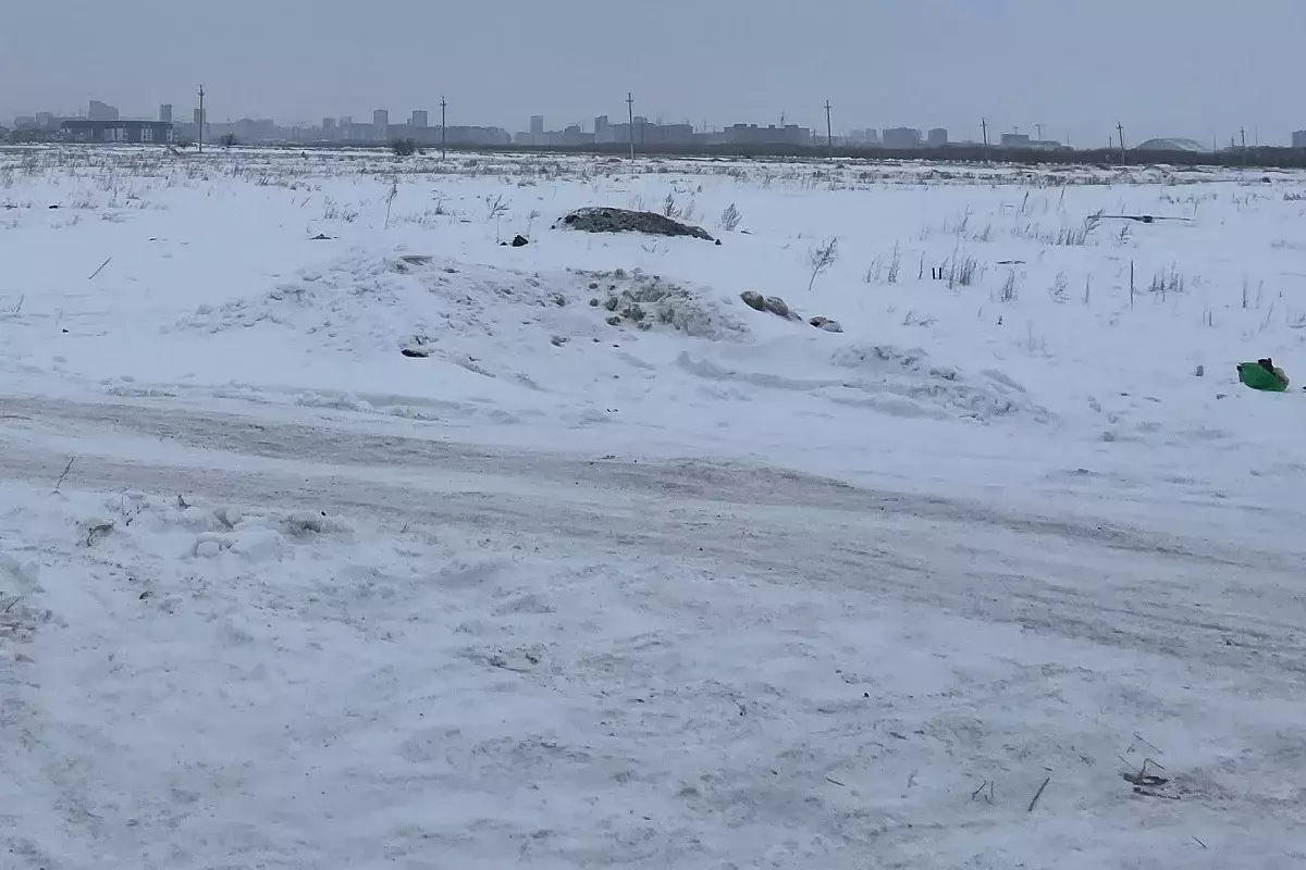 В Атырауской области найден мертвым пропавший охотник