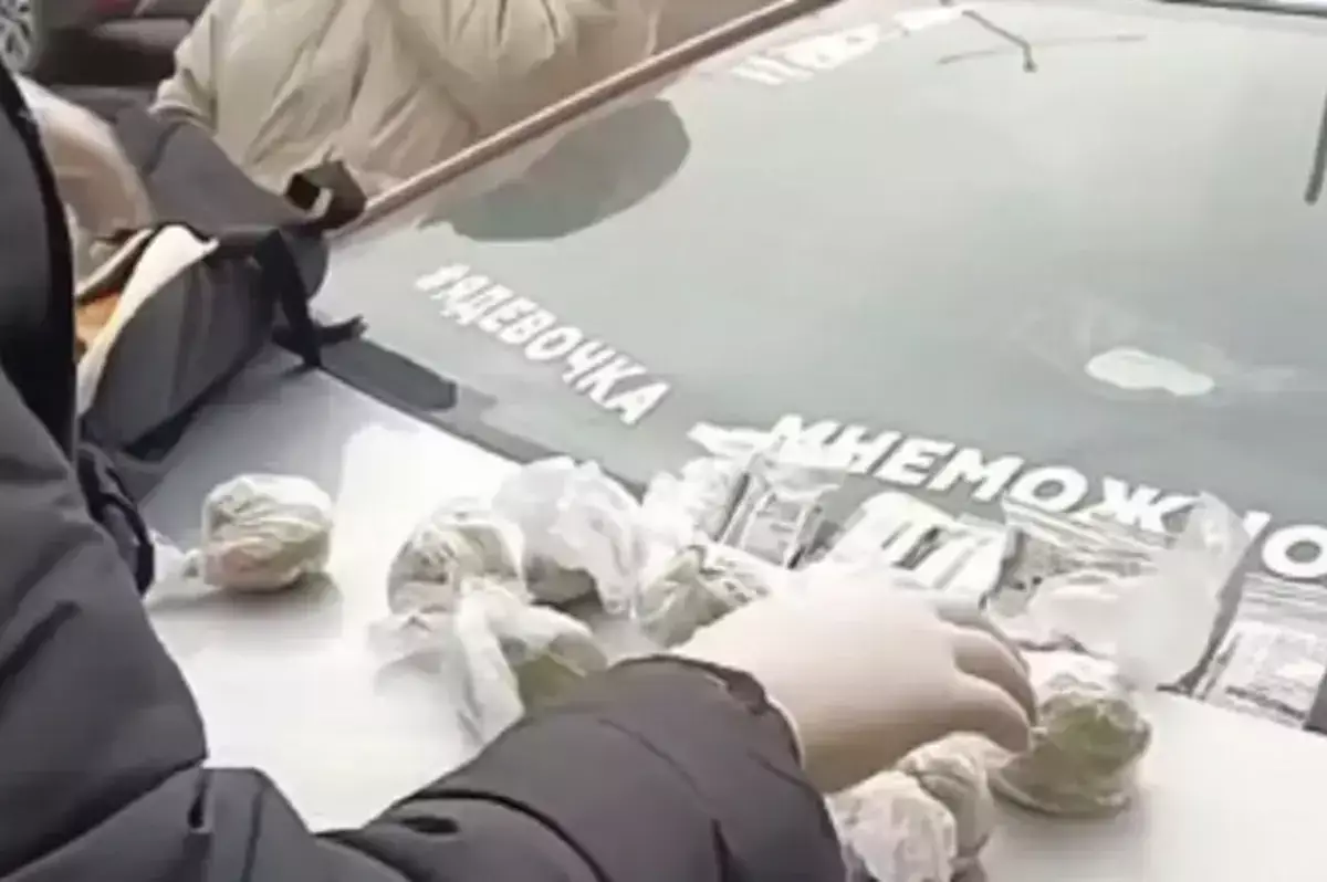 «Я девочка, мне можно»: необычная надпись на авто привела к задержанию наркоторговца в Казахстане (видео) - новости на Lada.kz 19.12.2025