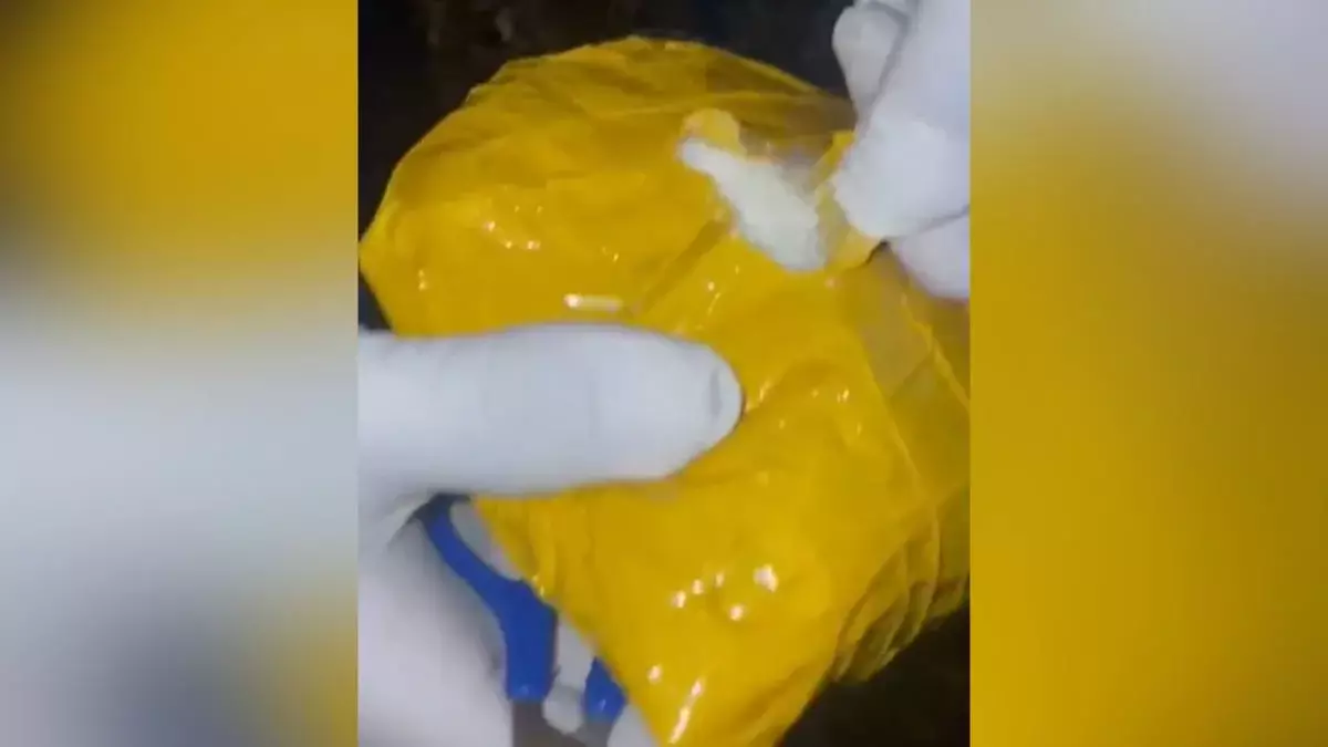 Жамбыл облысында полиция есірткі арнасының жолын кесті