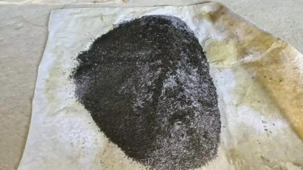 Две тонны насвая в сарае: подпольный цех нашли в Туркестанской области