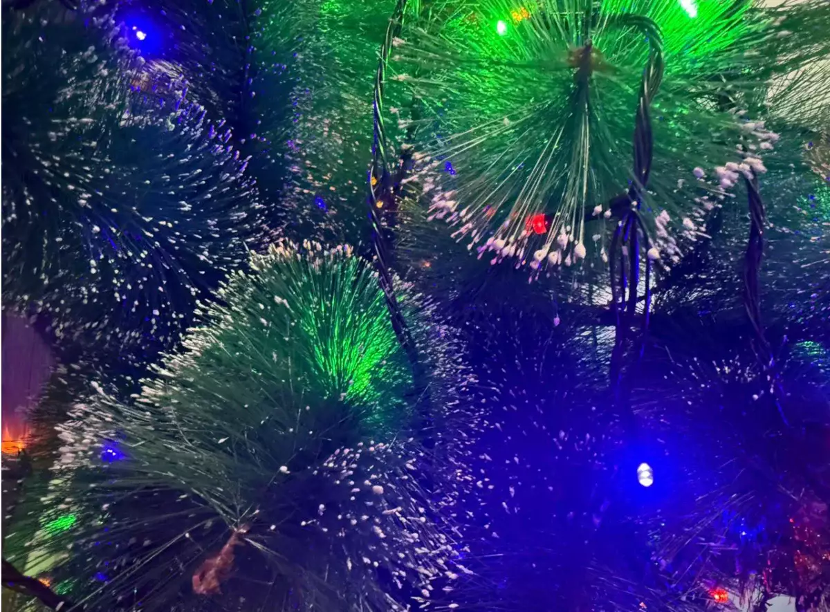 «Новый город — харам?»: казахстанец объяснил, почему не купил детям елку