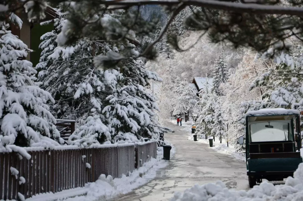 Посетителям Ой-Карагай предложили оплатить 170 тысяч тенге за 2 часа парковки
