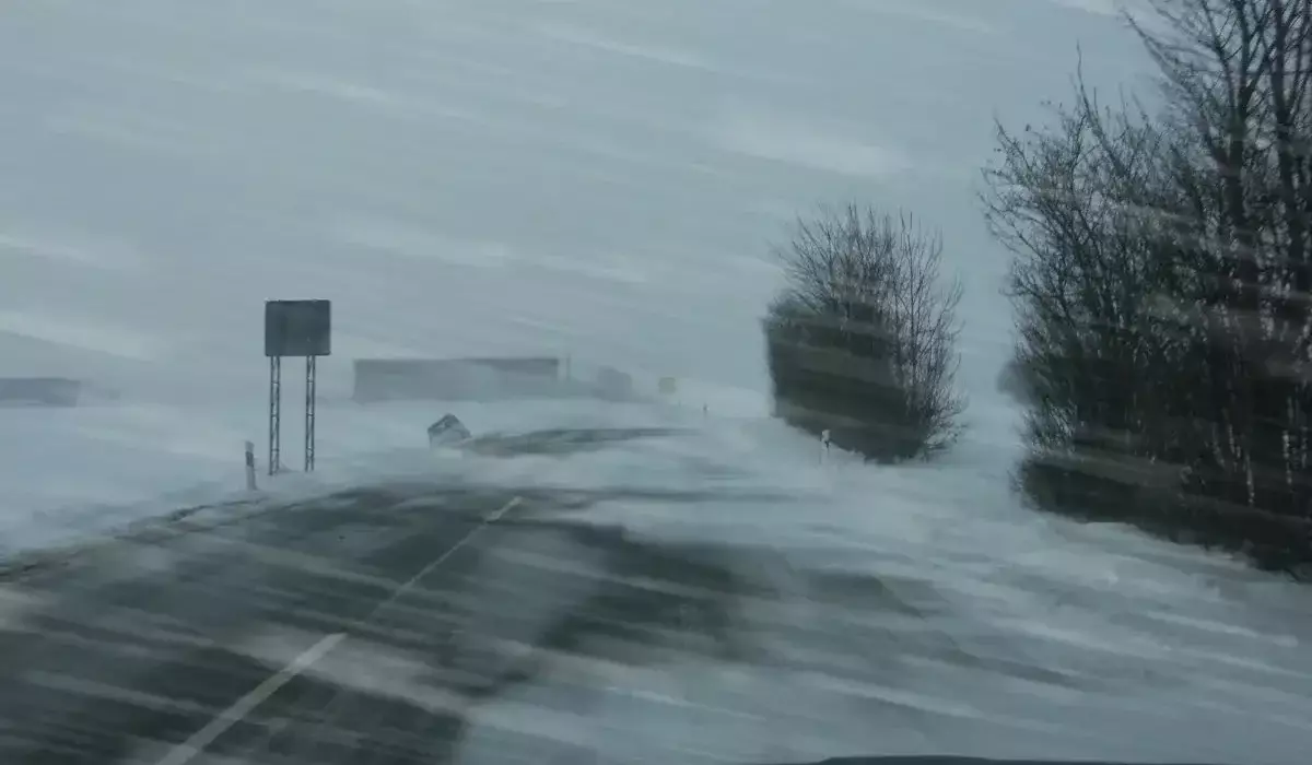 Ұлытауда аязды күні жоғалып кеткен 6 адам көлік дөңгелектерінің арқасында аман қалған