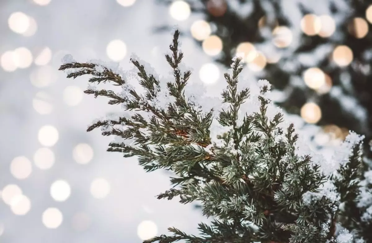 Алдағы күндері –35 градус аяз болады