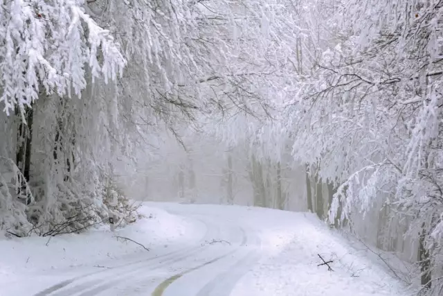Алдағы аптада –35 градус аяз болады