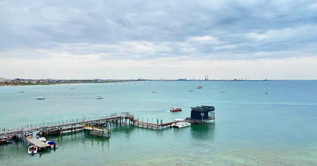   Мемлекет басшысы Жапония Үкіметінің Ақтау портындағы кедендік рәсімдерді жетілдіруге атсалысу туралы шешімін құптады   