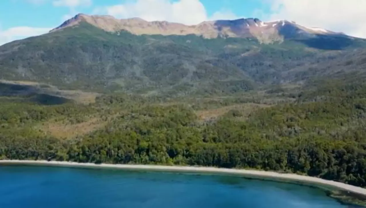 Чили создаёт национальный парк для редких животных