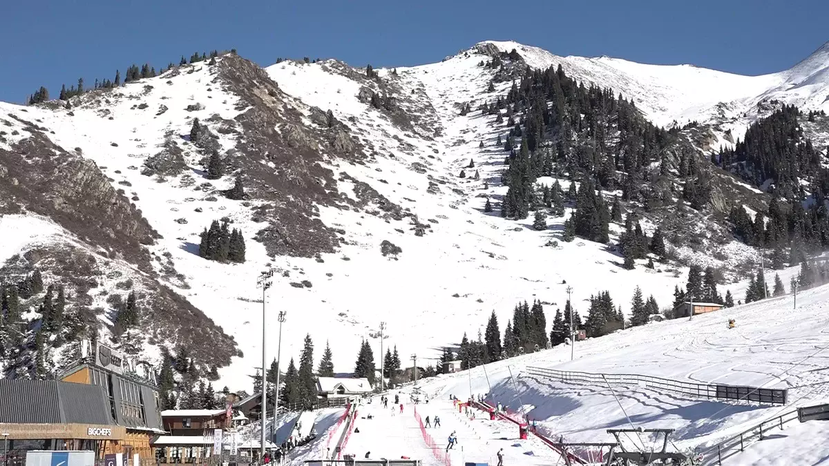 Жапониямен туризмді дамыту: Президент Орталық Азия елдері үшін визаны жеңілдетуді ұсынды