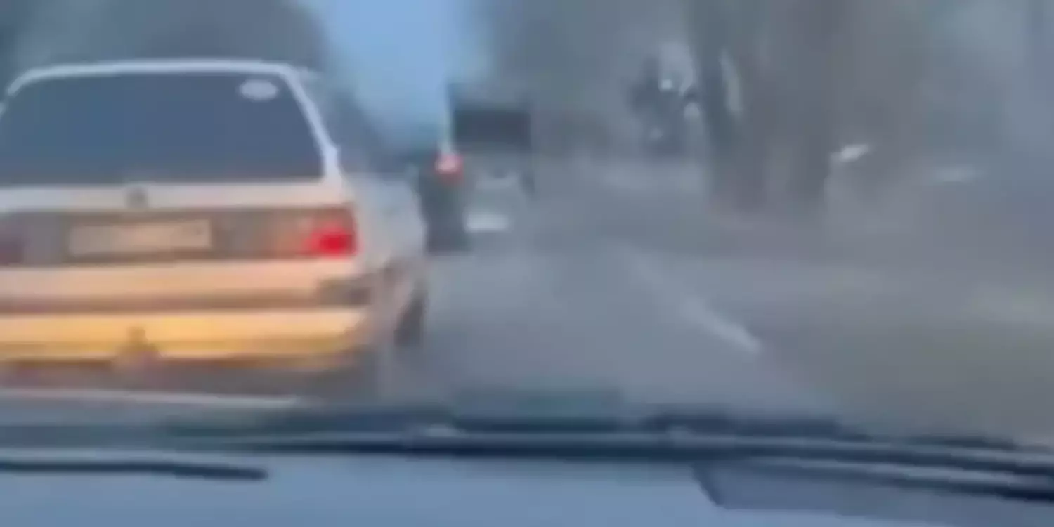 Көлікке байлап, жол үстінде сүйреген: Таразда тағы бір іс әшкере болды