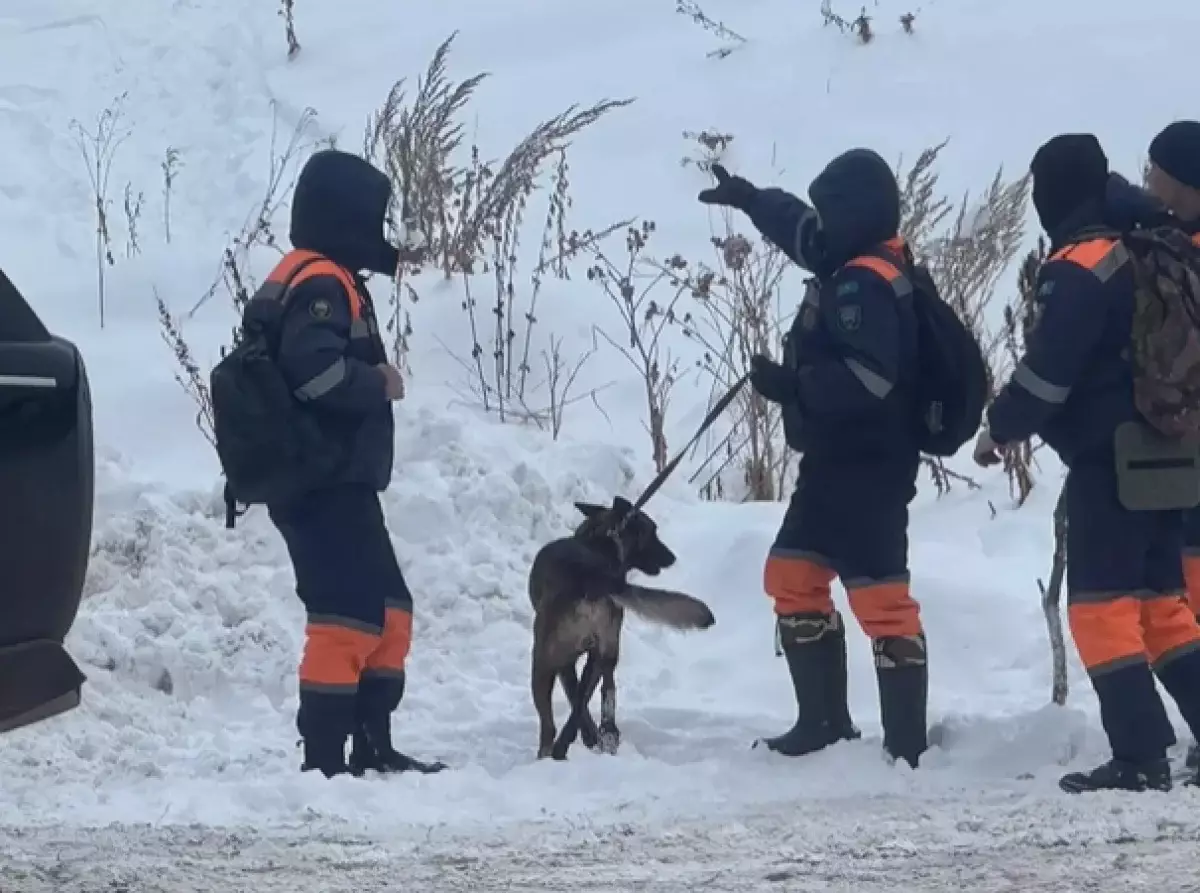 Девушка погибла в горах Алматы, обнаружено тело