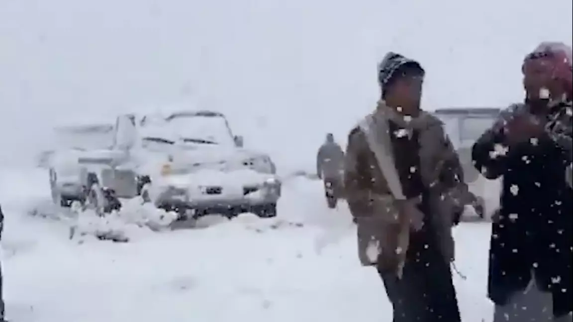 Сирек құбылыс: Сауд Арабиясында қар жауды