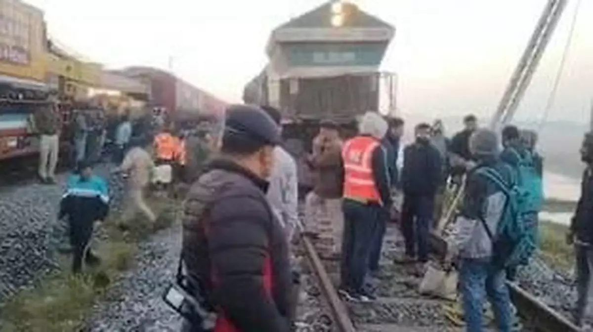 В Индии поезд столкнулся со стадом слонов: погибли восемь животных