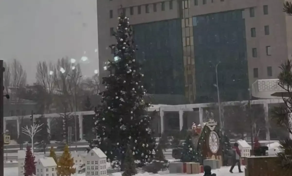 «Бишара сияқты»: халық оң жағалаудағы шыршаны сынға алды