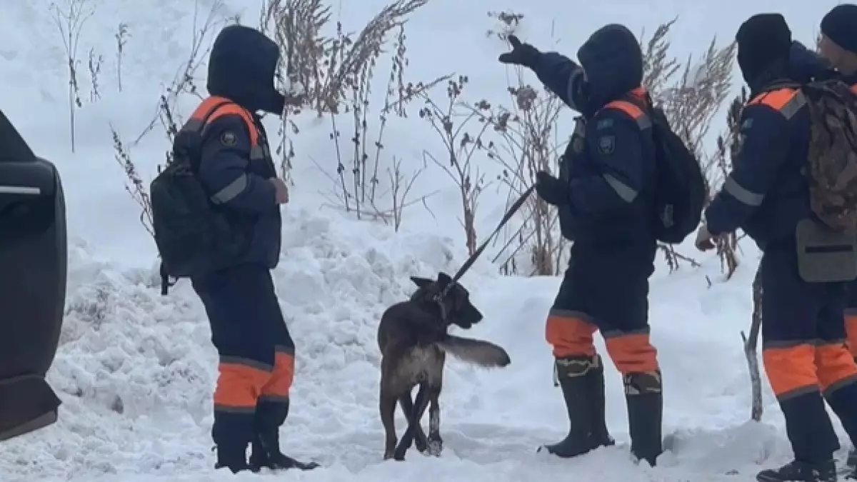 Алматы тауларында қыз баланың мәйіті табылды