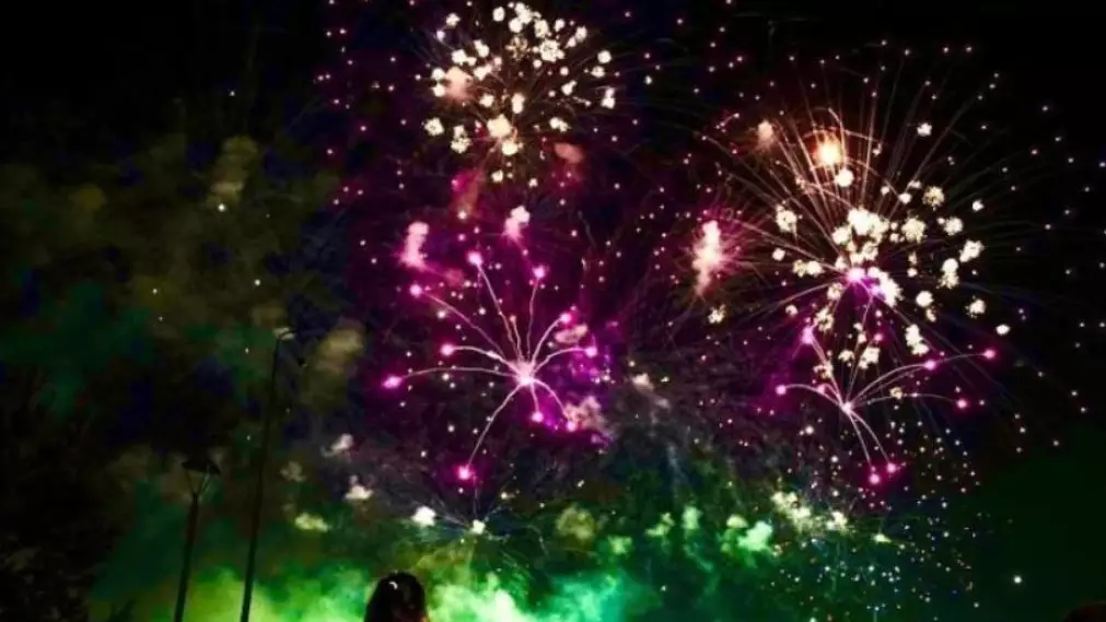 Отшашу сатып алғанда нені ескеру керек?