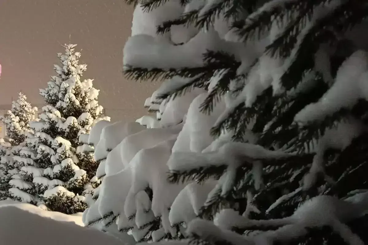 21 желтоқсанда бірқатар өңірде қалың қар жауады