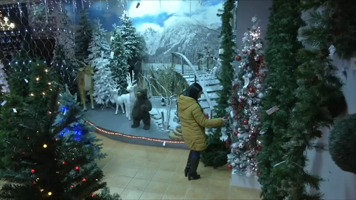 Қазақстан өңірлерінде жаңажылдық шыршаның бағасы қанша