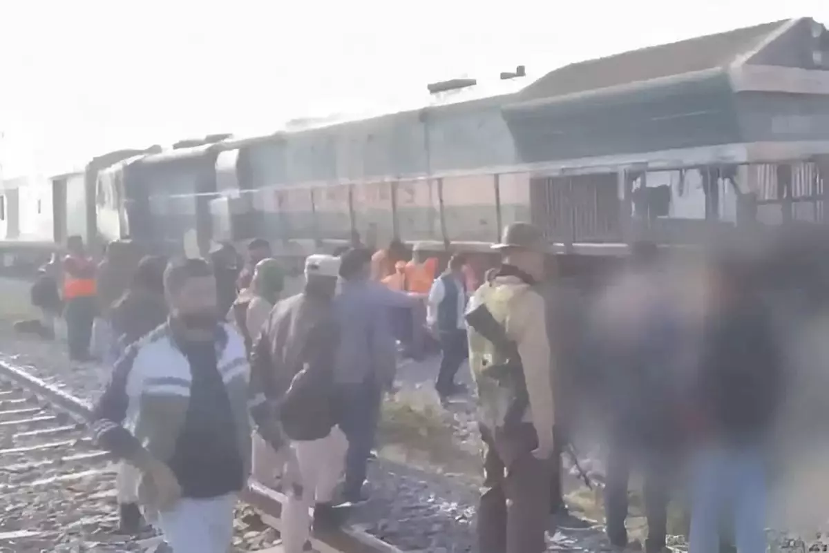 Поезд в Индии протаранил стадо слонов