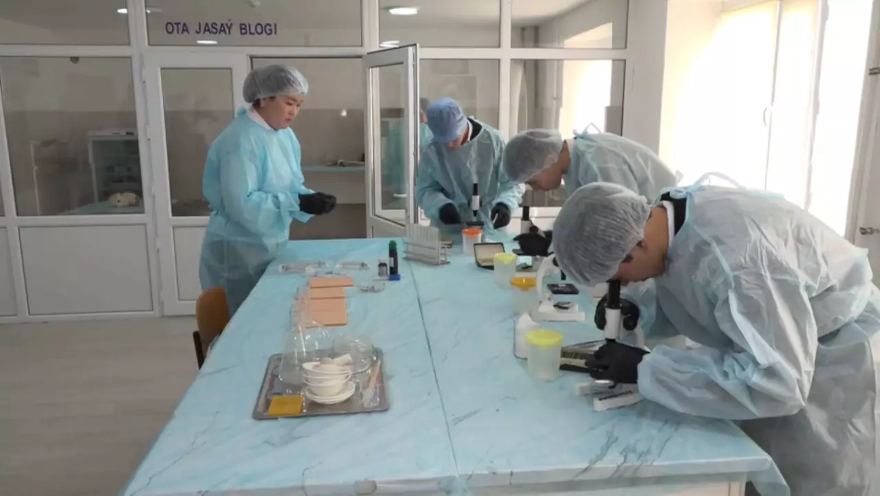 Ветеринары, зоотехники и агрономы требуются в Атырауской области