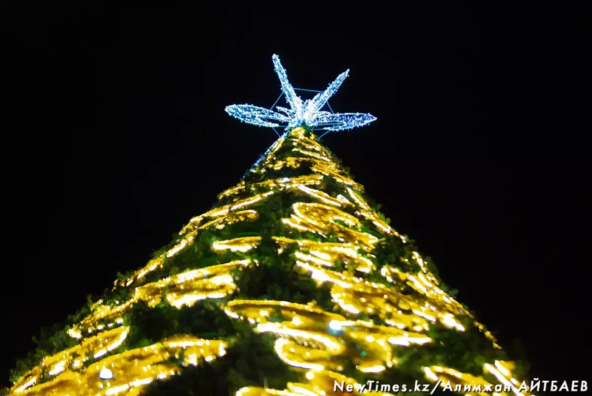 Казахстанцев призвали быть осторожными при покупке новогодних елок