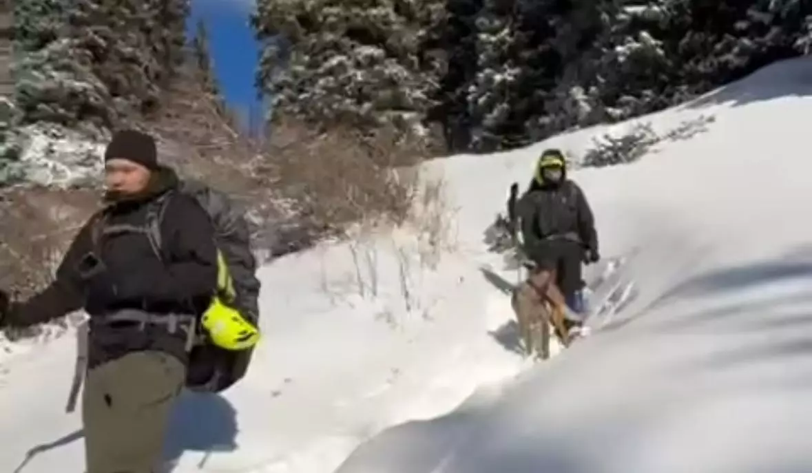 Пропавшая в Алматы женщина найдена мертвой на Бутаковке