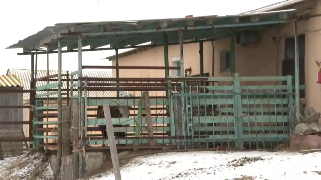 Ауылшаруашылығы саласында маман тапшы