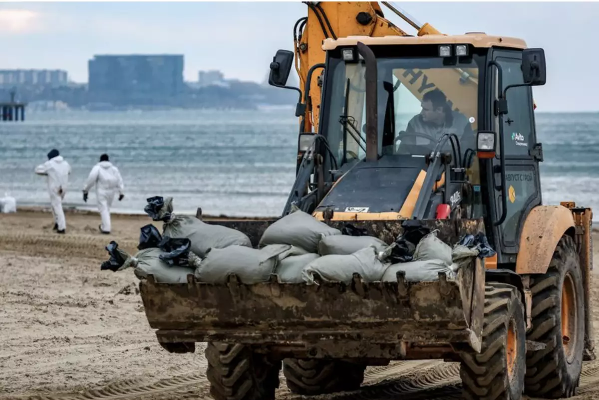Сотни дельфинов погибли после разлива мазута в Чёрном море