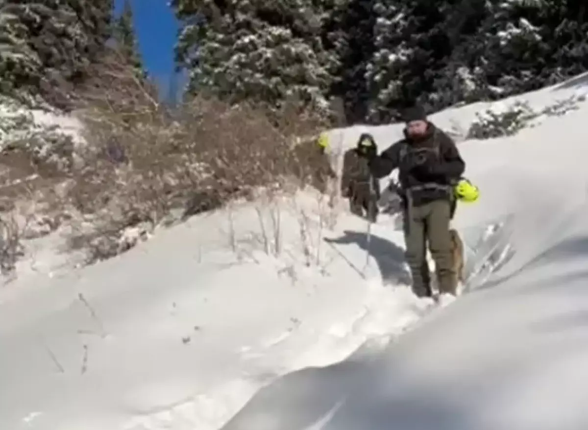 Тело девушки нашли в горах Алматы: в ДЧС рассказали подробности