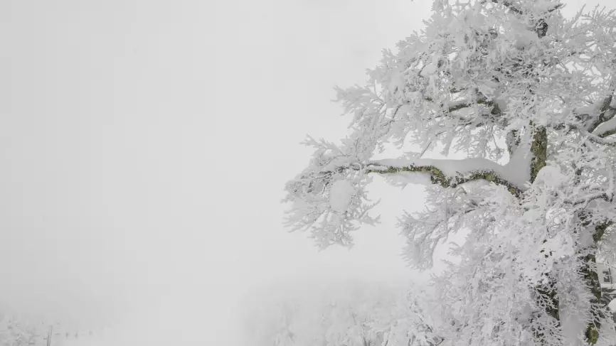 Боран, тұман және көктайғақ: 16 облыста дауылды ескерту жарияланды