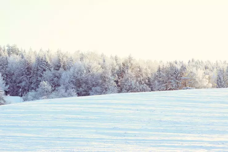 21 желтоқсанға арналған ауа райы болжамы