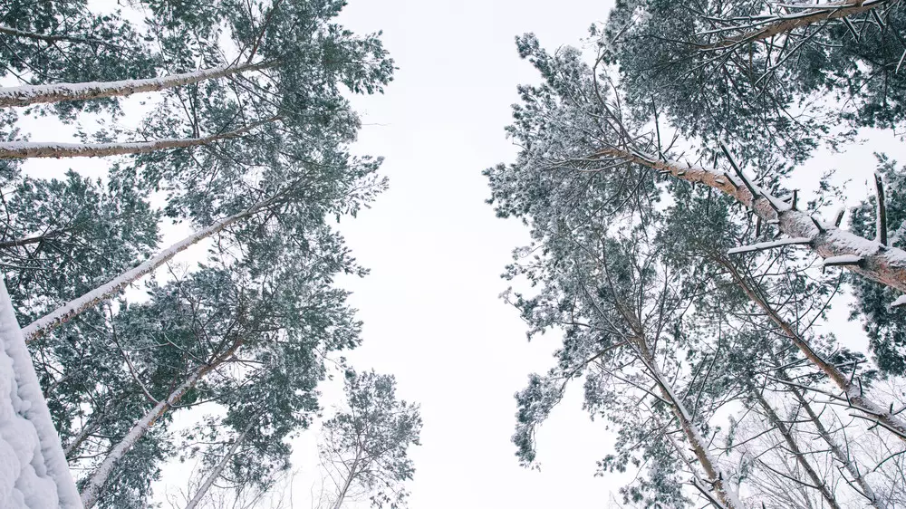 Морозы и снегопад: прогноз погоды в Казахстане на воскресенье