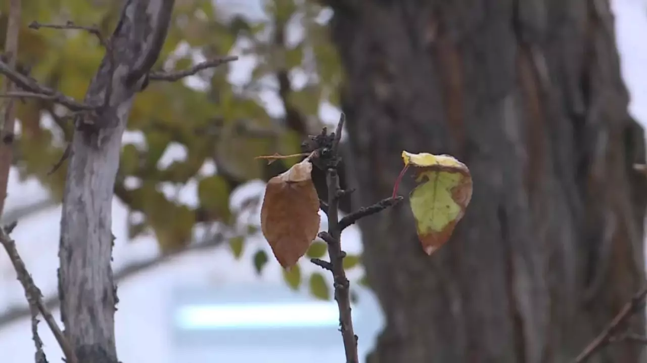 21 желтоқсанға арналған ауа райы болжамы