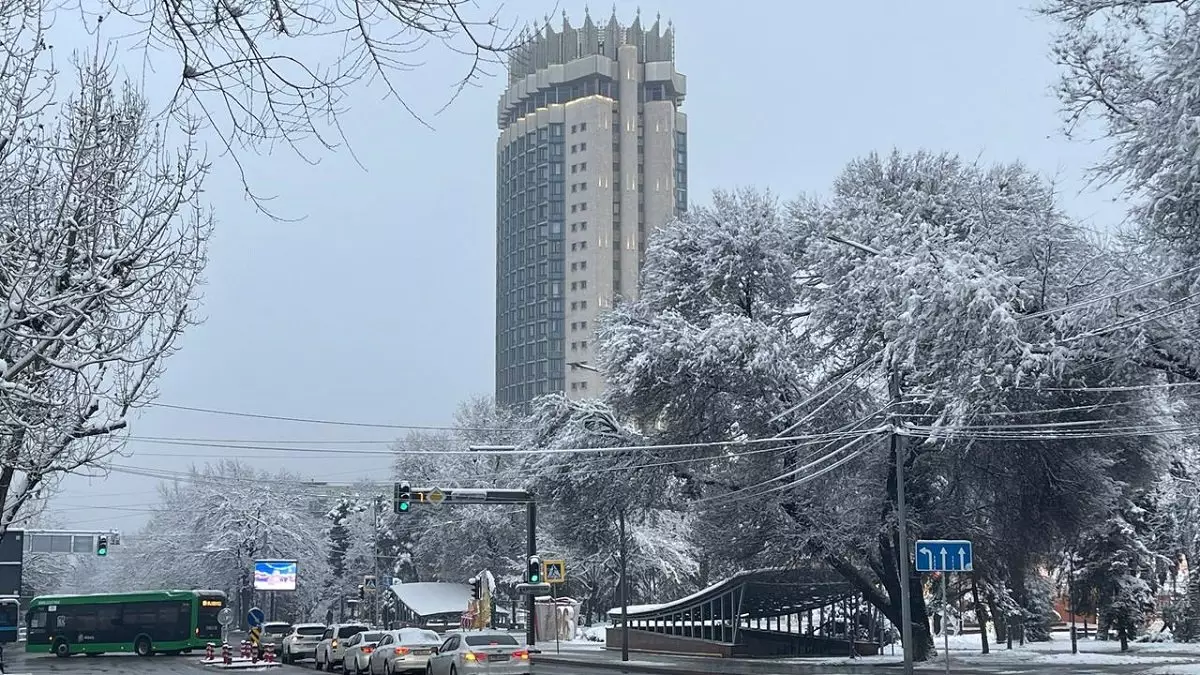 Погода в Алматы с 22 по 28 декабря 2025 года