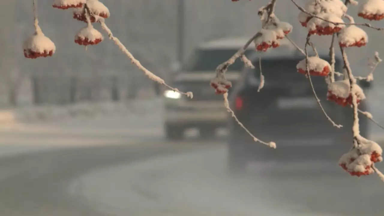 Еліміздің солтүстігінде қатты аяз күтіледі