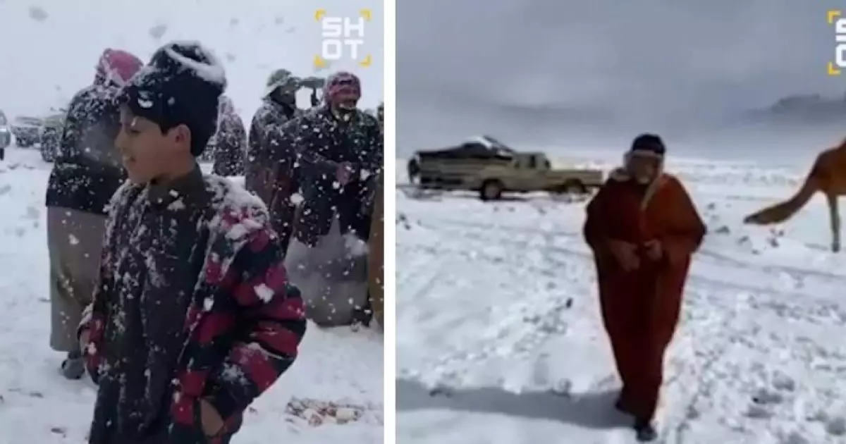  Сауд Арабиясына қар жауды 