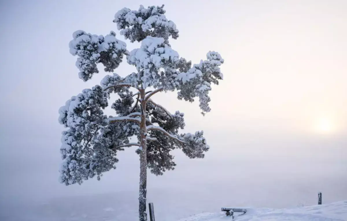 Зафиксирована самая низкая температура на Земле - новости на Lada.kz 21.12.2025