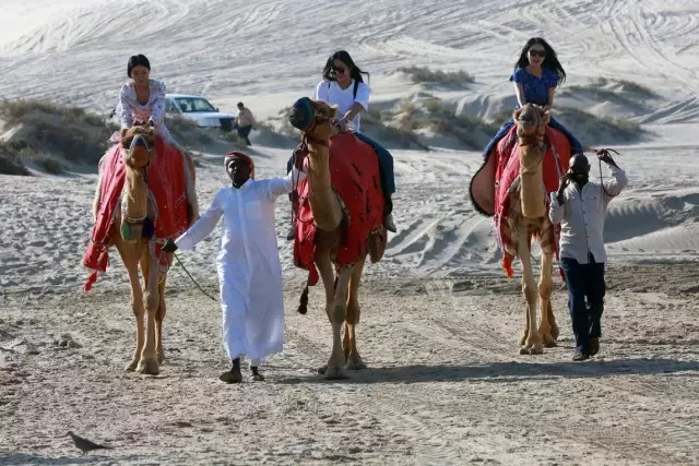 Сауд Арабия сахарасын қар басты