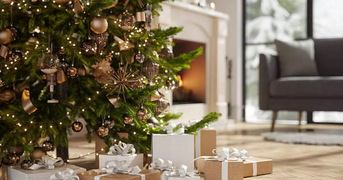  Шыршаның тосын қаупі белгілі болды 