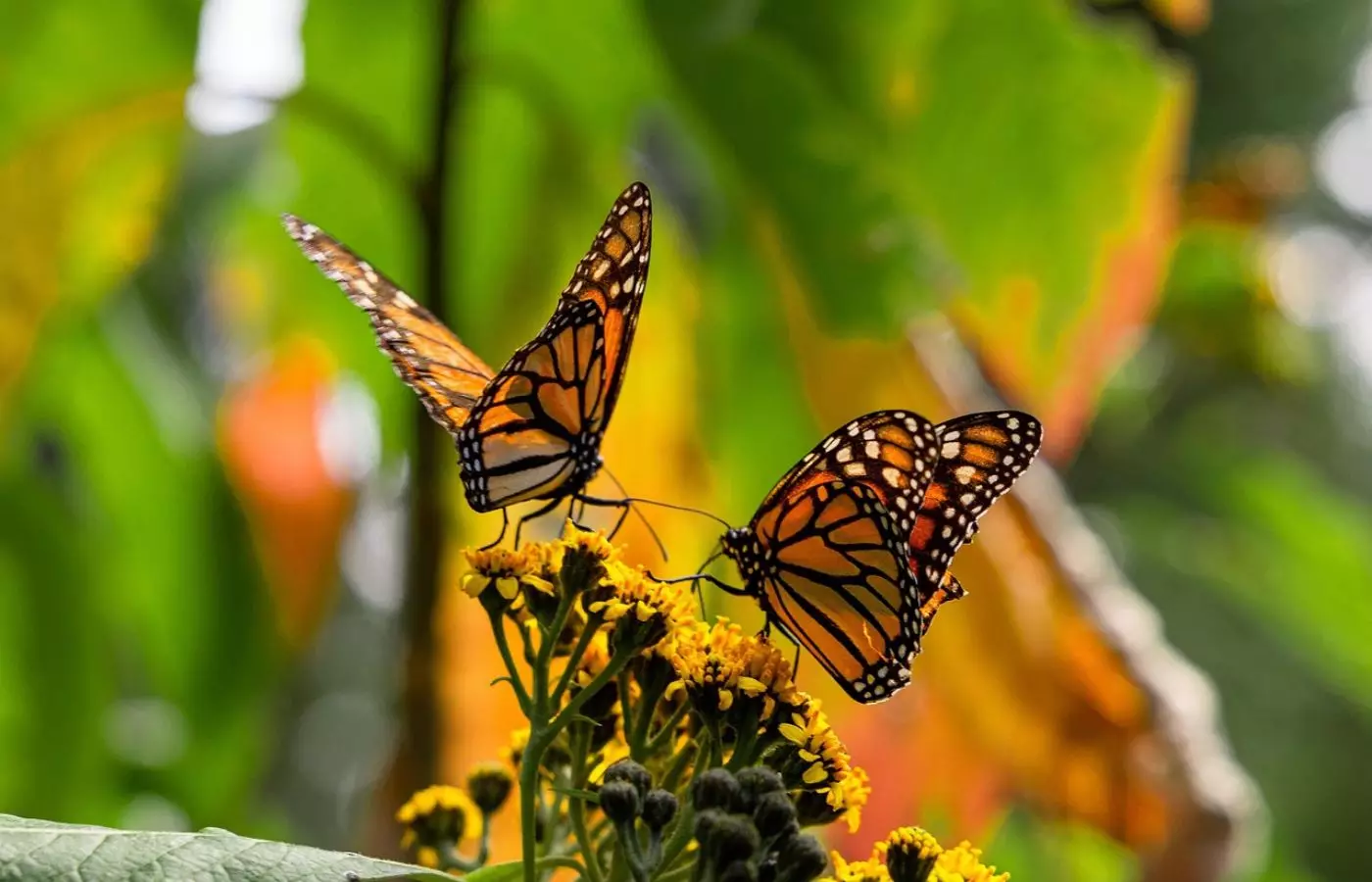 Табиғат тепе-теңдігін жоғалтса не болады?