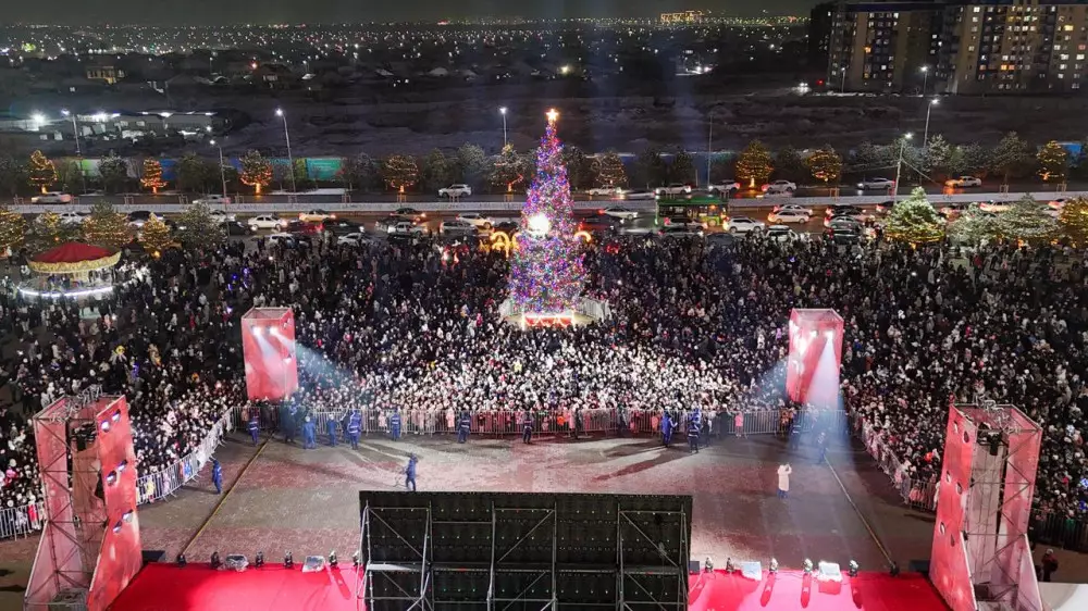 В Шымкенте зажгли огни главной новогодней ёлки города