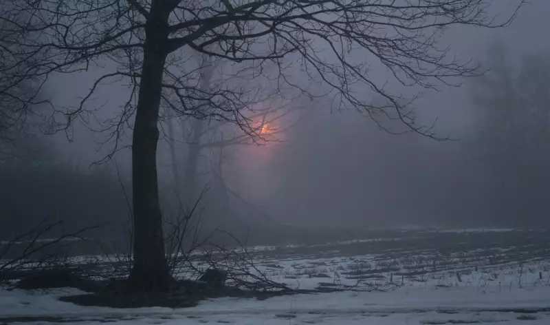 Туман, метель и гололед ожидаются в большинстве регионов Казахстана
