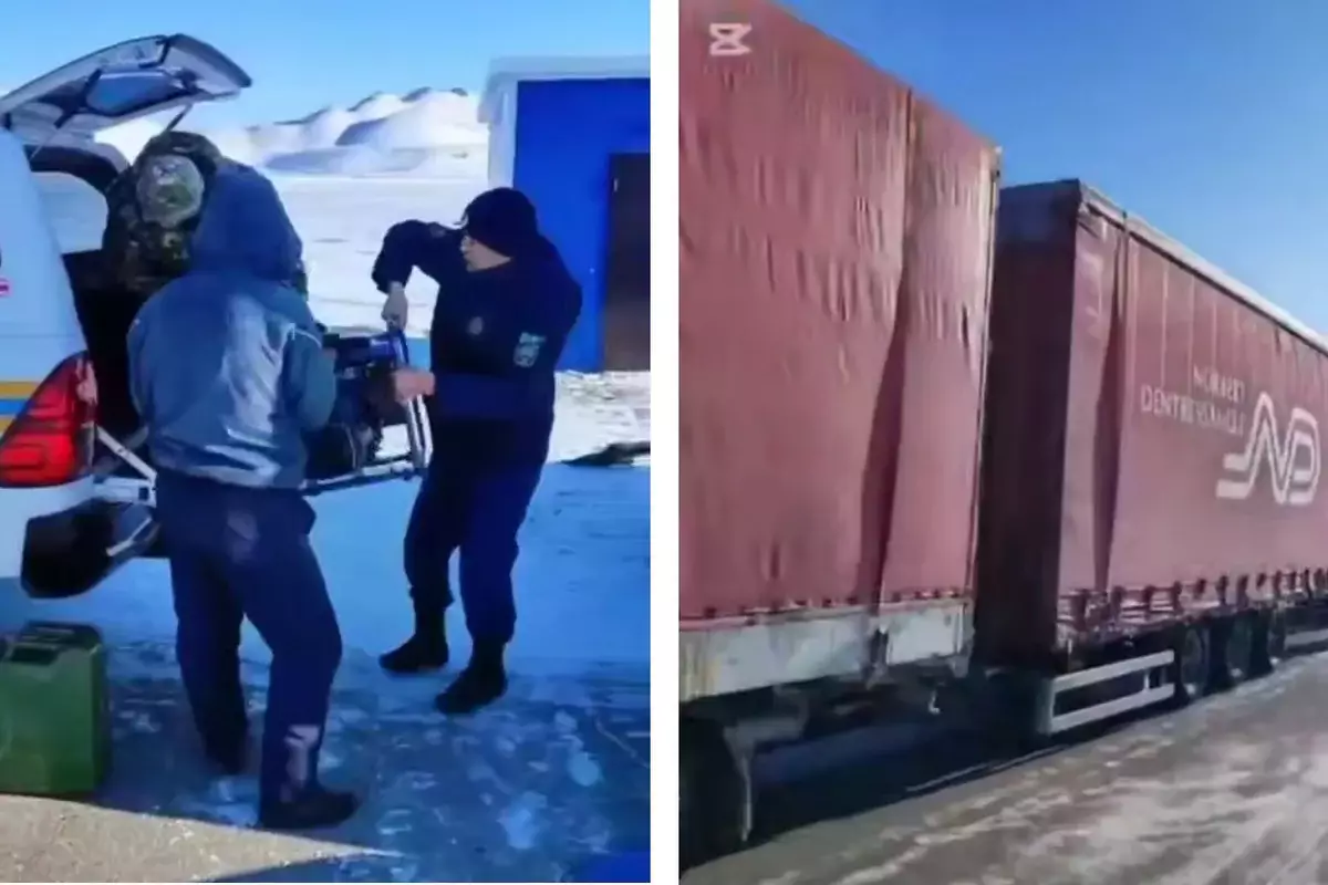 Фура с 45 лошадьми из-за мороза встала на трассе в Костанайской области