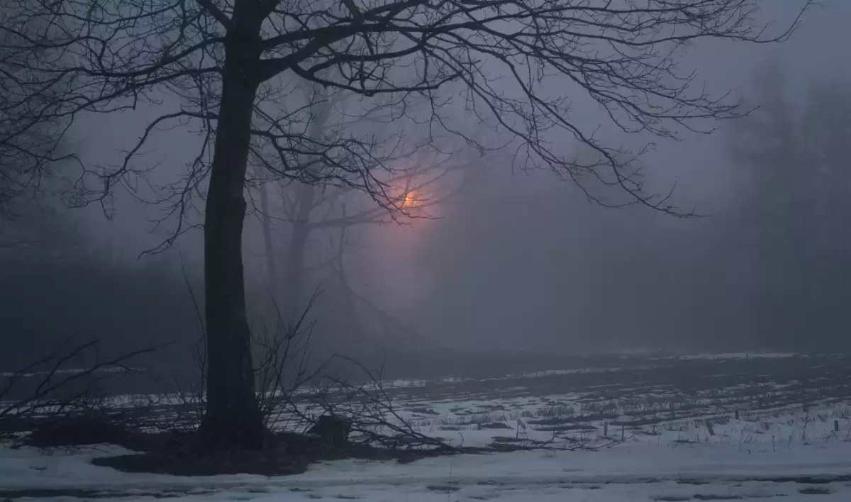 Тұман, боран: 16 өңірде ауа райына байланысты ескерту жасалды