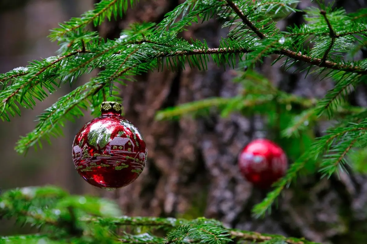 Из-за морозов перенесли церемонию зажжения елки в Петропавловске