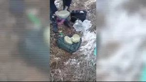 Алматыда полицейлер синтетикалық есірткі тәркіледі 