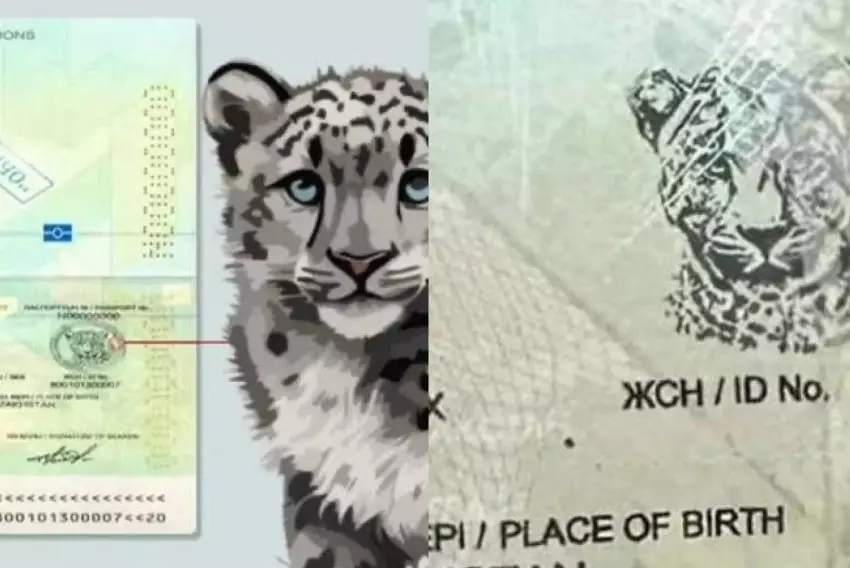 Казахстанский паспорт усилил защиту и открыл безвиз в 79 стран