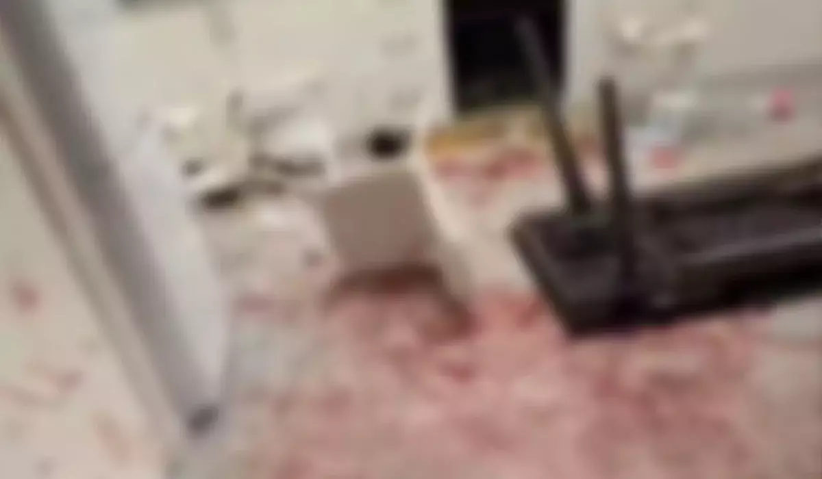 Алматыда үй иесі қып-қызыл қанға боялған пәтерін клининг шақырып, тазартпақ болған (ВИДЕО)