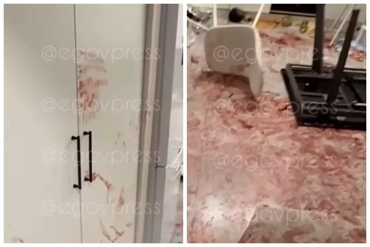 Адам өліміне қатысты ақпарат: Алматыдағы қанға боялған пәтерде не болғаны анықталды (видео)