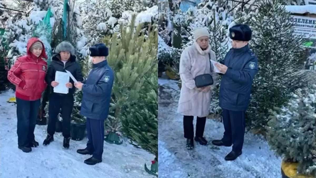 В преддверии Нового года полиция усилила охрану елей